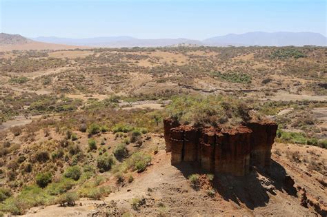 Olduvai Gorge Museum | Artu Expeditions