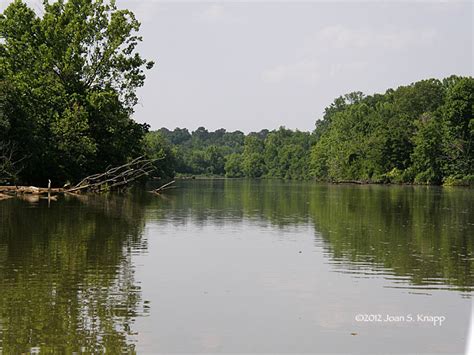 Anybody Seen My Focus?: Oconee River: South to Lake Oconee