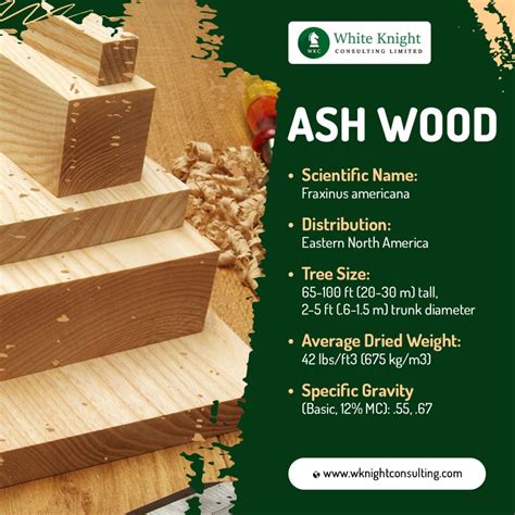 10 Popular Types of Ash Wood : Properties and Uses