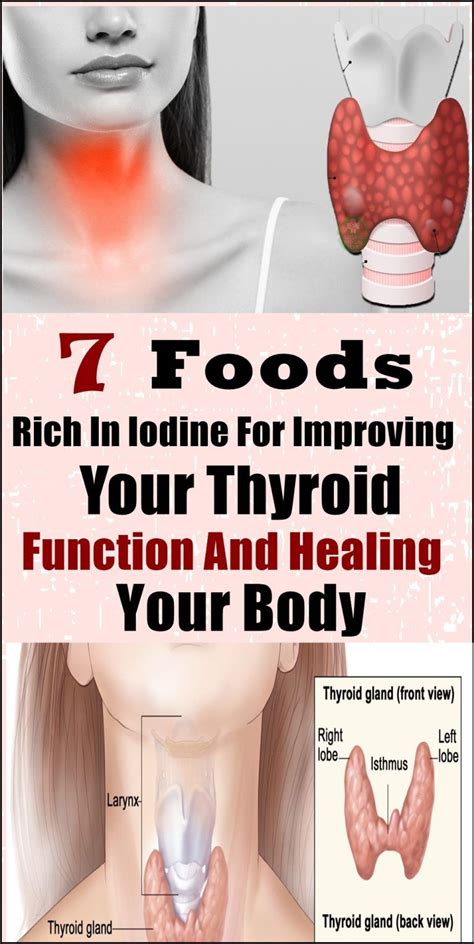 Pin on Thyroid