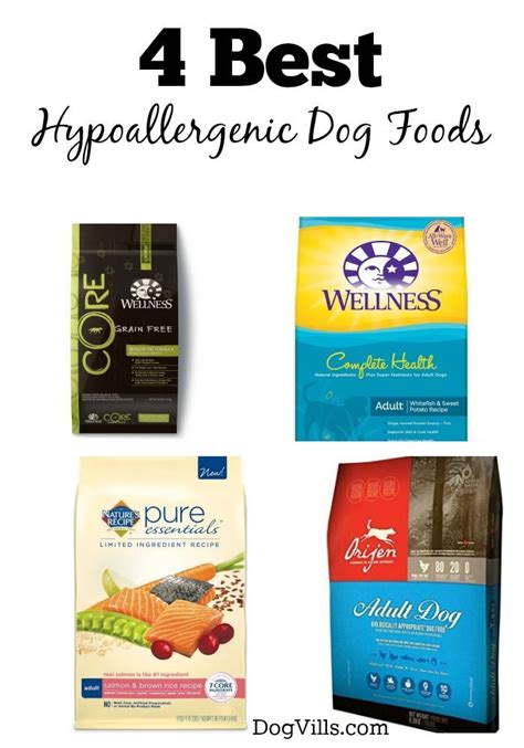 Looking for the best hypoallergenic dog foods for your pooch with ...