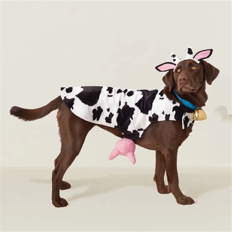 Moo-ve over, boring dog costumes: Top 10 cow Halloween outfits to impress! - Furry Folly