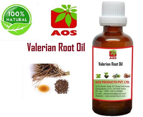 4 Uses of Valerian Root Oil, Health Benefits for Headaches and anxiety