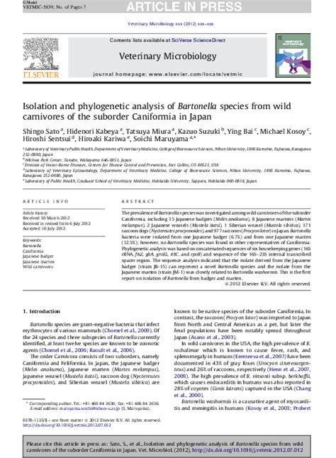 (PDF) Isolation and phylogenetic analysis of Bartonella species from wild carnivores of the ...