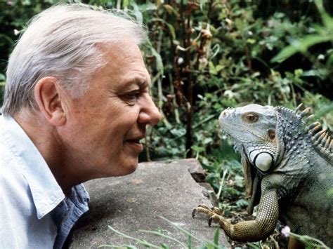 Sir David Attenborough turns 90 & the tributes are pouring in - Good Things Guy