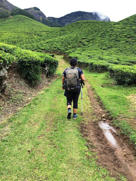 Kolukkumalai Trek - the Highest Tea estate in the world