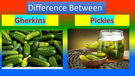 Difference between Gherkins and Pickles - YouTube