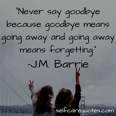 67 Top Popular Farewell Quotes for Seniors - Meaningful Quotes | Farewell quotes, Farewell ...