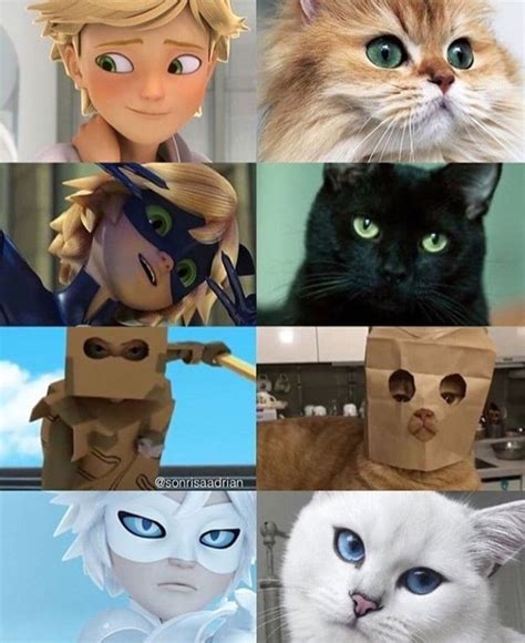 The many faces of Chat Noir. Meme by @sonrisaadrian : r/miraculousladybug