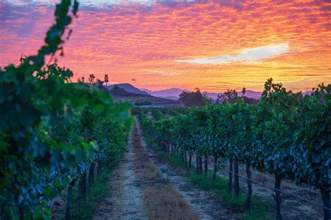 Temecula Valley, California | 10 Best Wine Destinations of 2019 | Wine ...