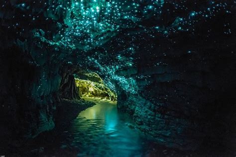 Waitomo Caves At The Night, New Zealand - InspirationSeek.com