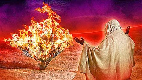 Moses saw God on DMT – claims professor - Trancentral