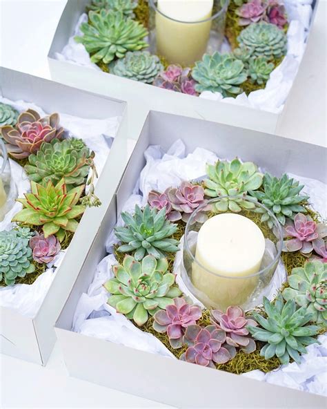 Succulent Wreath Centerpieces by Dalla Vita, Christmas Centerpiece, Table Ce… | Succulent ...