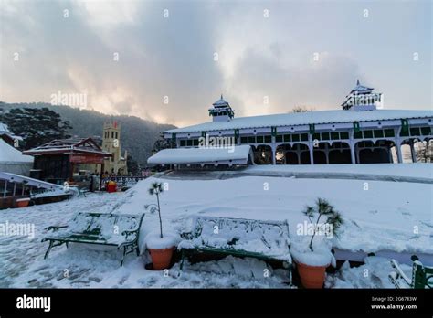 Latest views of Snowfall in Shimla Stock Photo - Alamy