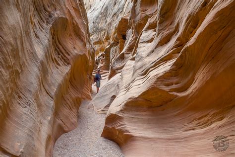 Meanderthals | Little Wild Horse Canyon, San Rafael Swell, Utah