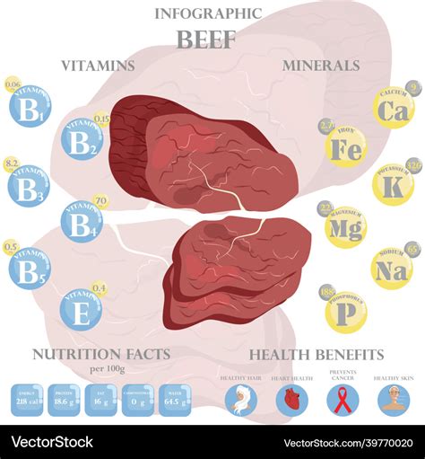 Beef nutrition facts and health benefits Vector Image