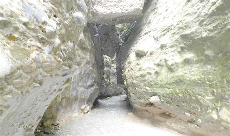 Dehradun Robber's Cave – History, Entry Fee, Gucchu pani Timings