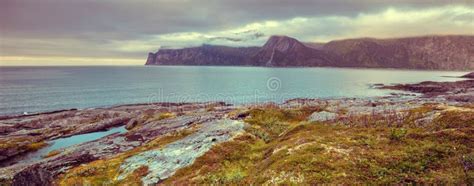 Fjord, Rocky Beach at Sunset. Wildlife Norway. Senja Island Stock Photo ...