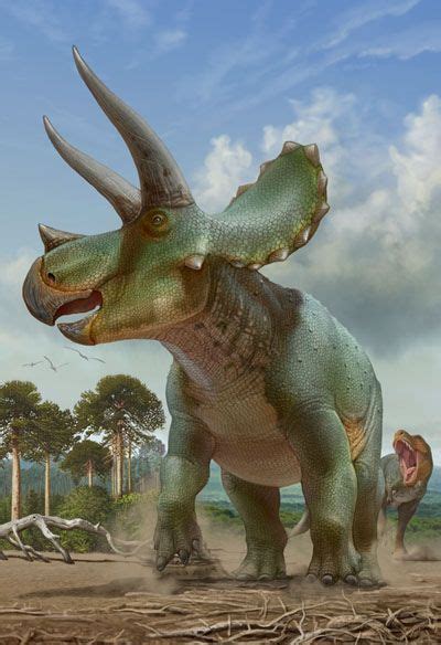 Triceratops by atrox1 : Classification Règne Animalia Classe Sauropsida Ordre † Ornithischia ...