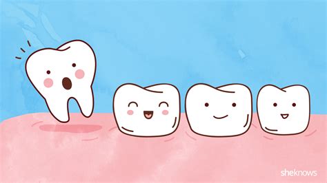 A timeline for your child’s tooth loss – SheKnows