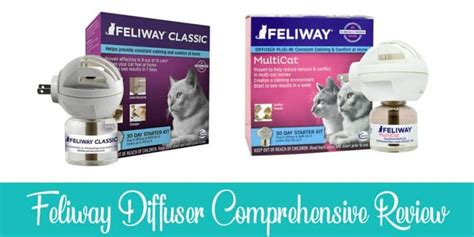 Feliway Diffuser Review: Is It Worth Your Money? | Raise a Cat