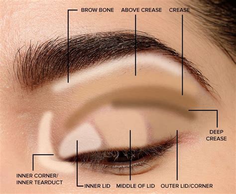 Parts of the Eye for Applying Makeup Lid, crease, transition, outer v, waterline--what? If that ...