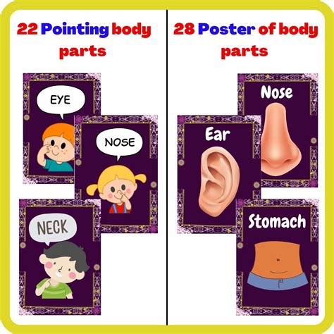 Body Parts Poster For Classroom Decor and Special Education - DISHA