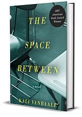 The Space Between novel