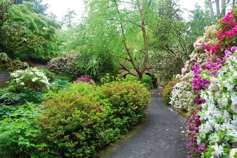 Crystal Springs Rhododendron Garden | Outdoor Project