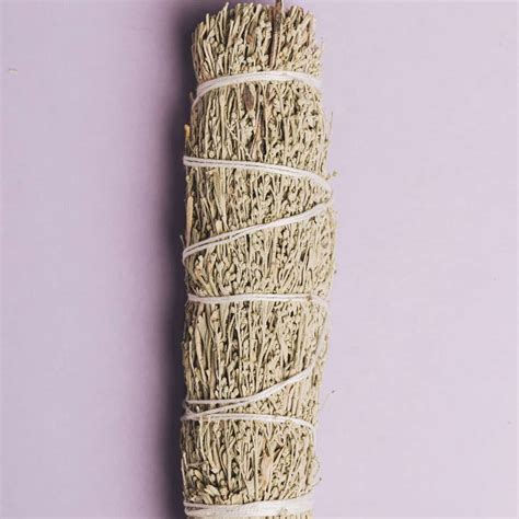 9 Different Types of Sage for Smudging • Schisandra & Bergamot