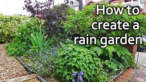 How to Build a Rain Garden | Utilise Rainwater and Prevent Flooding - YouTube