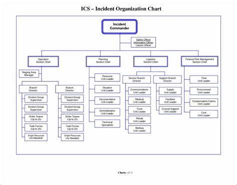 Organizational Chart Template Free Awesome 8 Microsoft Excel ...