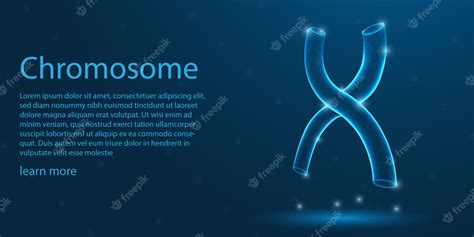 Premium Vector | Human Chromosome, X-shaped structure.