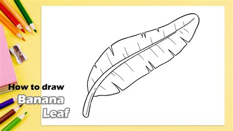 Banana Leaf Drawing