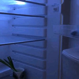 empty fridge on Tumblr