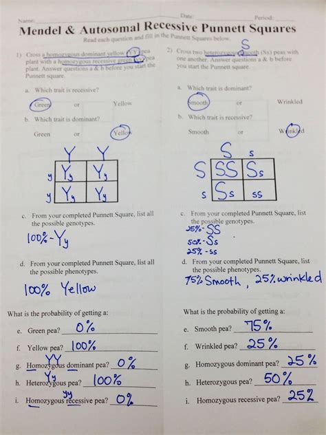 Dihybrid Punnett Square Worksheet