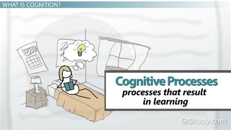 Cognitive Processes in Learning | Definition, Theories & Examples ...