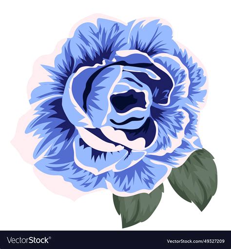 Blue rose Royalty Free Vector Image - VectorStock