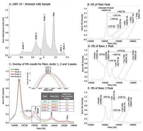 Rapid, direct icIEF-MS analysis of a stressed bispecific mAb. A) icIEF ...