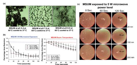 (a) Optical images of different types of Monosodium Urate Monohydrate... | Download Scientific ...