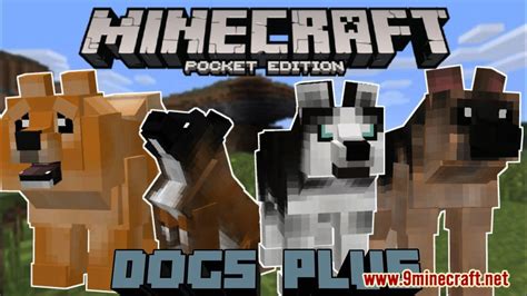 Dogs Plus Addon (1.19) for Minecraft PE/Bedrock - Mc-Mod.Net