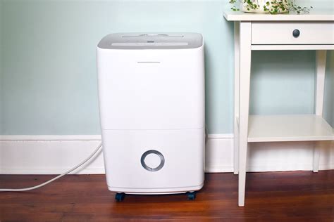 The 8 Best Dehumidifiers of 2019