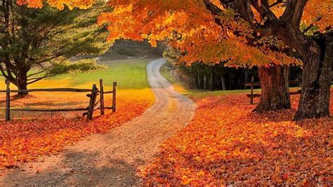 Beautiful Fall Backgrounds (50+ images)