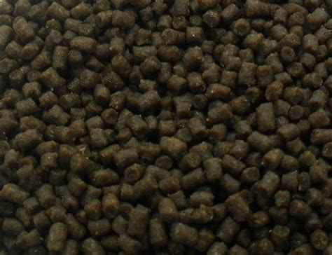 SINKING HIGH PROTEIN PELLETS 2mm 6mm,CATFISH,CORYDORAS,MALAWI,BOTTOM ...