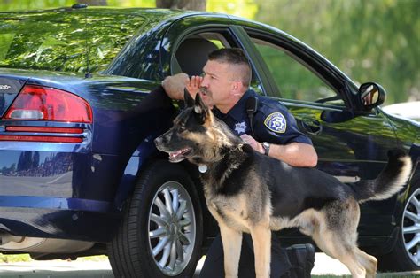 Canine Unit Police Dog And Handler | German shepherd training, German ...