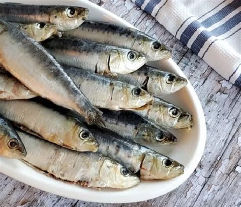 Comparing Anchovies vs Sardines: Which is Healthier? - Oh Snap! Cupcakes