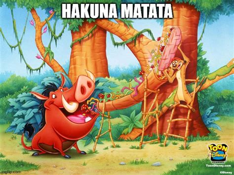 The Lion King - Timon and Pumbaa Meme by Takostu64 on DeviantArt