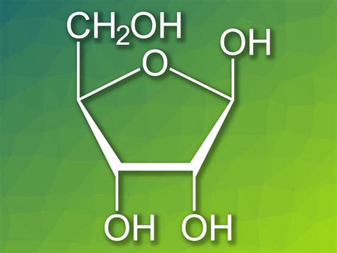 How Was Ribose Selected as the Sugar in RNA? - ChemistryViews