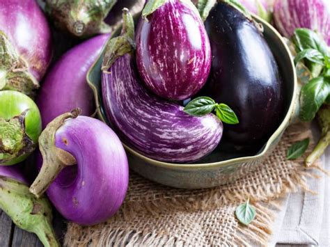 9 Amazing Types of Eggplant | Organic Facts