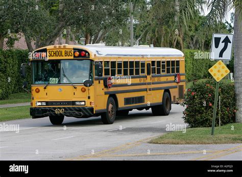 School bus driving down a road that is surrounded by greenery Palm Beach county movement ...